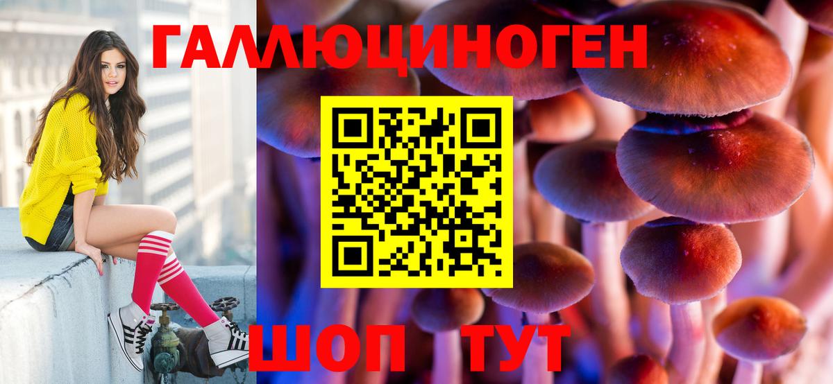 Псилоцибиновые грибы прущие грибы  что такое   Заречный  Вход с VPN 