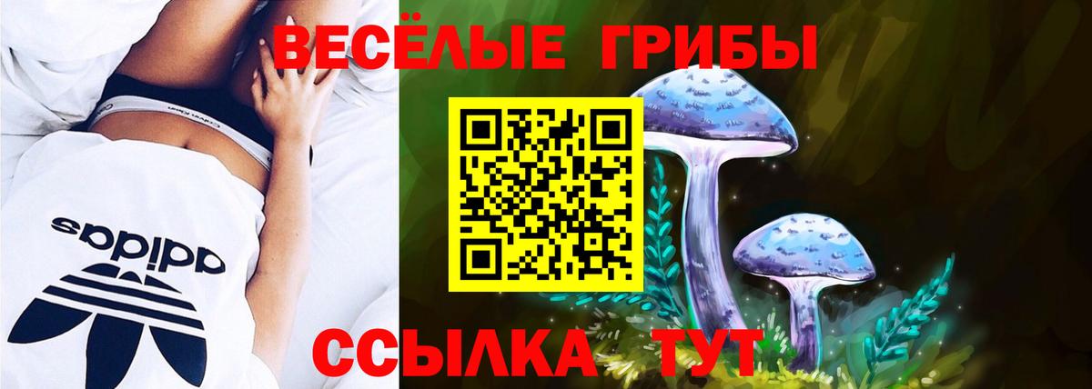 Псилоцибиновые грибы прущие грибы Заречный